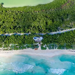 Casa Pelícanos Mx - Next To Zone Tulum